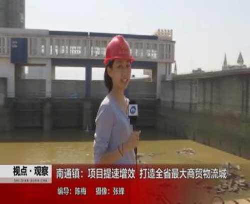 南通鎮(zhèn)：項目提速增效，打造全省最大商貿(mào)物流域