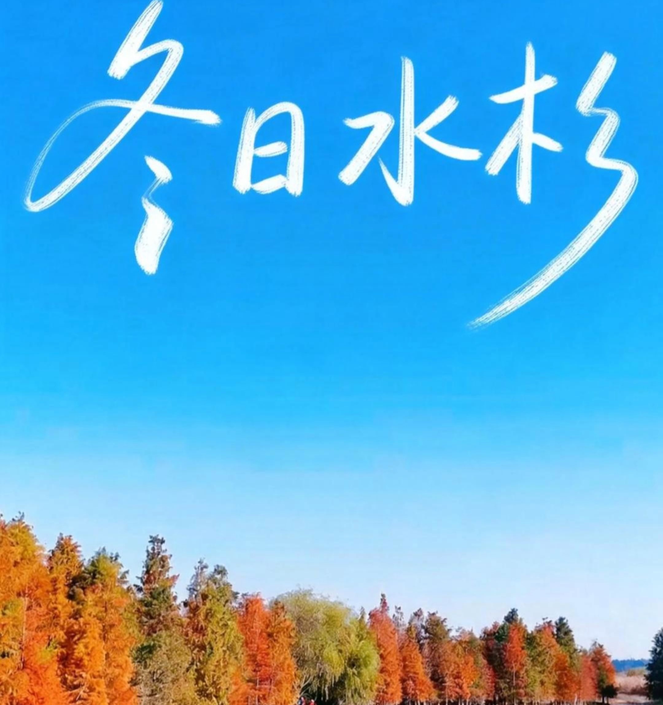 看閩侯丨閩侯也有“小洱?！?！這片“冬日頂流”上線(xiàn)！快來(lái)打卡！