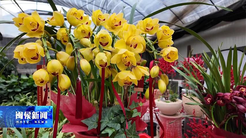 2026年1月23日閩侯新聞