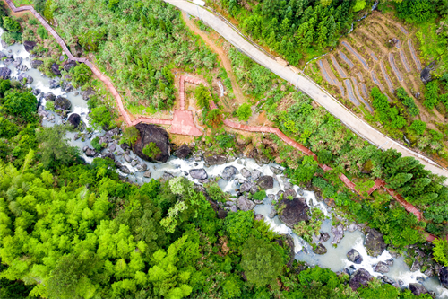 看閩侯丨本季“仙”花，廷坪良地繡球花開了